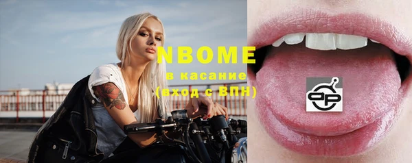 индика Абинск