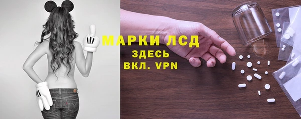 индика Абинск