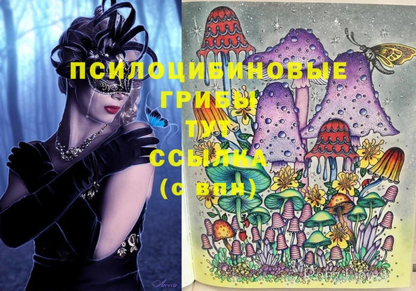 индика Абинск