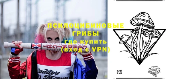 индика Абинск